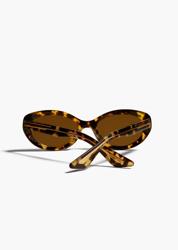 aokiboutique x Oliver Peoples 1969C in Vintage DTB Back View