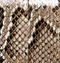 Blake Crossbody Bag in Natural Python swatch