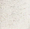 Adela Skirt in Ivory swatch