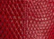 Blake Crossbody Bag in Ruby Lizard swatch