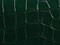 Cate Bag in Hunter Green Alligator swatch