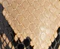 Jett D'Orsay Pump in Python-Embossed Taupe swatch