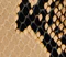 Liria Kitten Heel Sandal in Python-Embossed Taupe swatch
