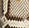 Miriam Low Pump in Natural Python swatch
