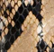 Marlene Low Pump in Python-Embossed Taupe swatch