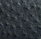 Cate Bag in Midnight Navy Ostrich swatch