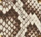 Mini Emma Bag in Natural Python swatch