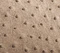 Cate Bag in Mink Ostrich swatch